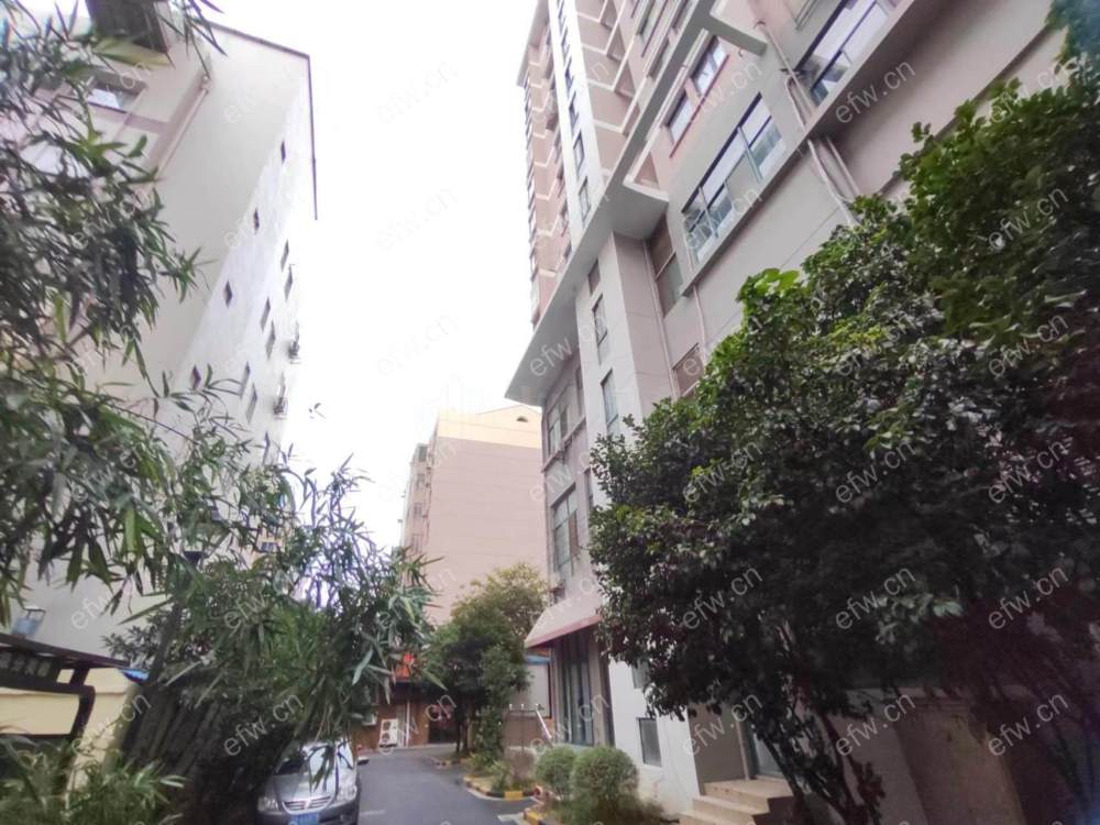 稀缺3房豪装拎包即住,小木桥北尽享优雅品质,多重阳台+飘窗