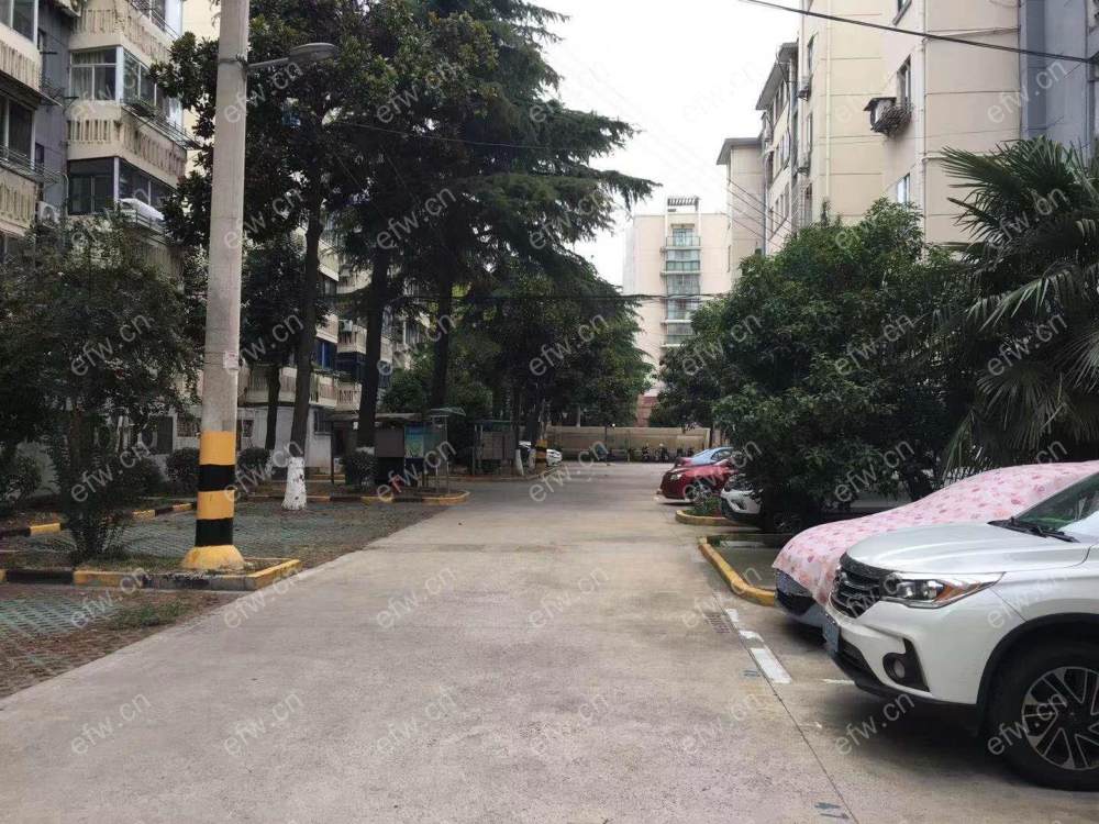 蓓蕾新村 1室1厅,提前半小时预约