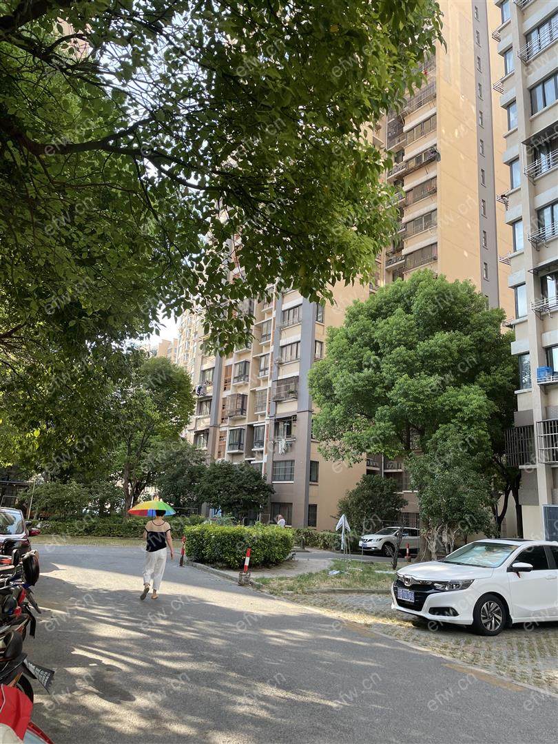 惠麓苑  精装修 无遮挡采光好 电梯房 南北通透 随时看