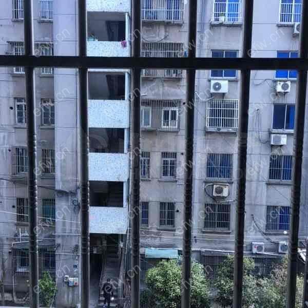 振奋路 3室2厅
