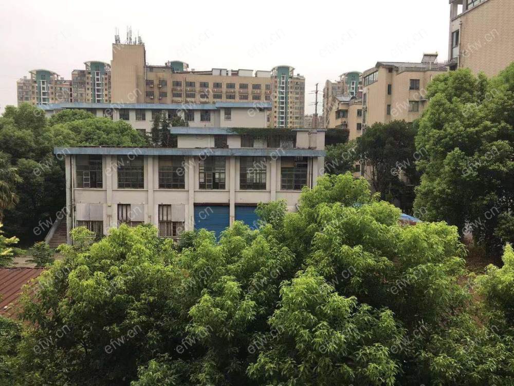 蓓蕾新村 1室1厅,提前半小时预约