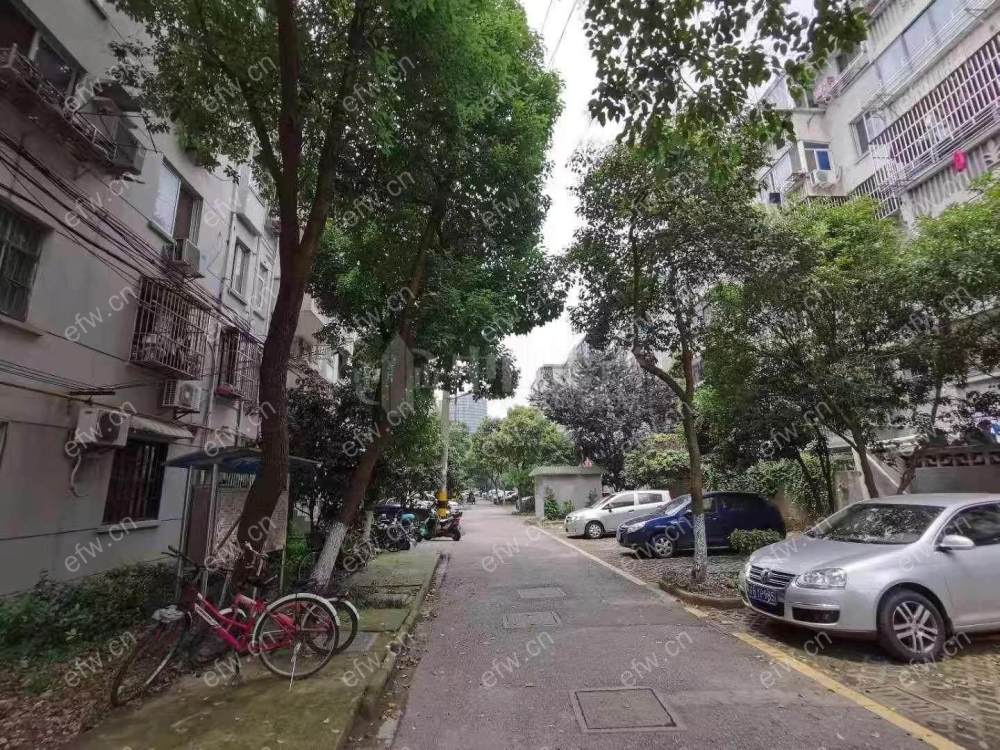 曹张新村 1室1厅 精装修 环境好 拎包入住