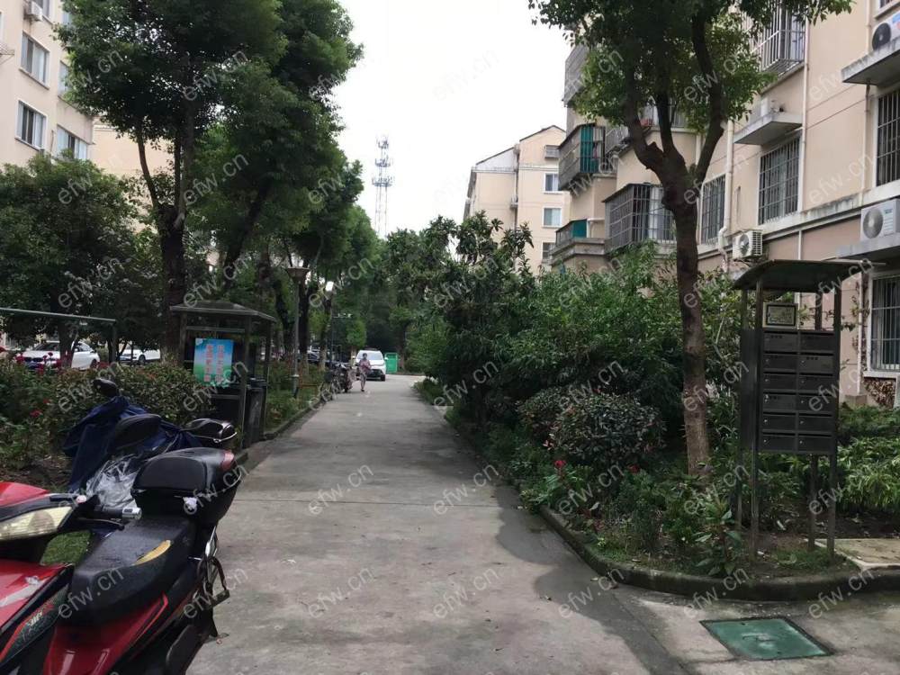景丽西苑 3室2厅 出租