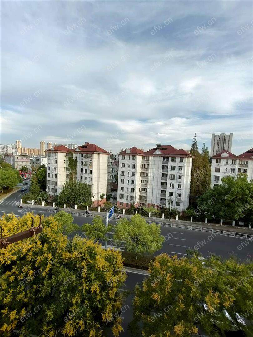 塘南新村 2室1厅，价格可议