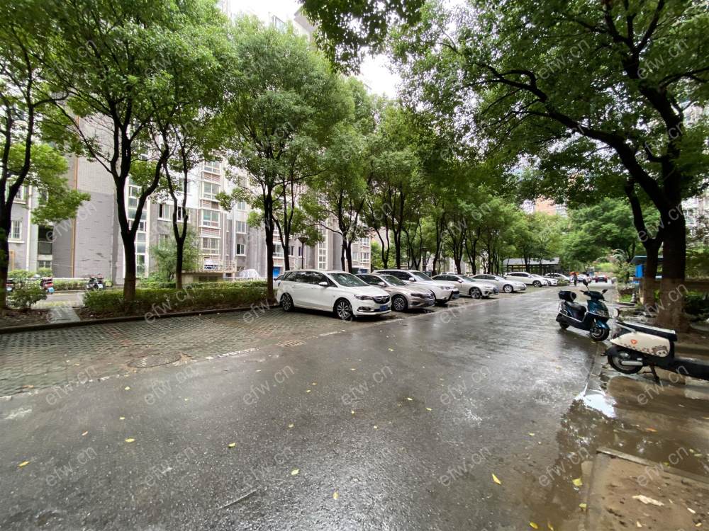 园区好房 湖滨南苑 商品房2室1厅 带超大露台 实用实用
