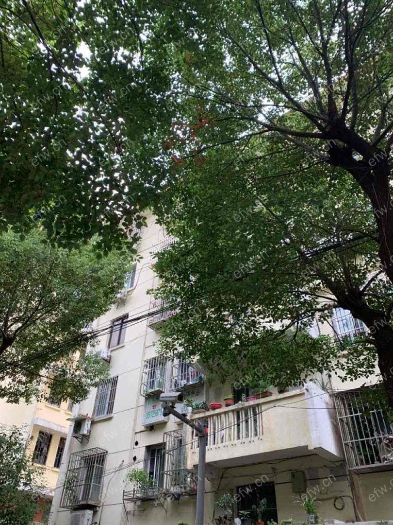 南扬新村 1室1厅