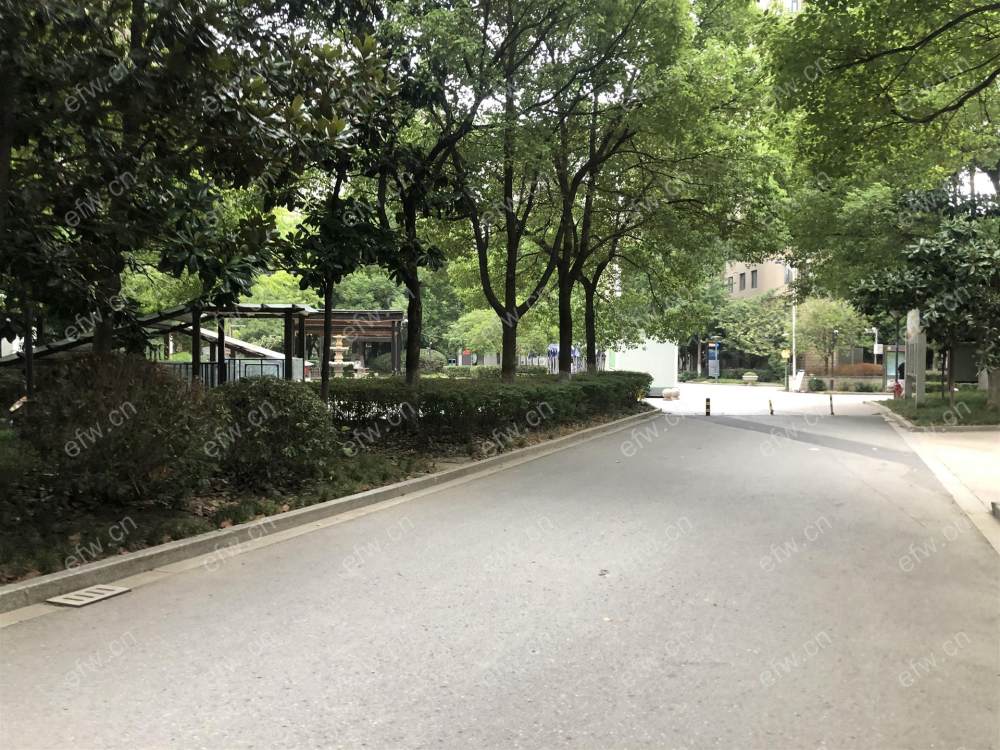 紫 金 门 3室2厅