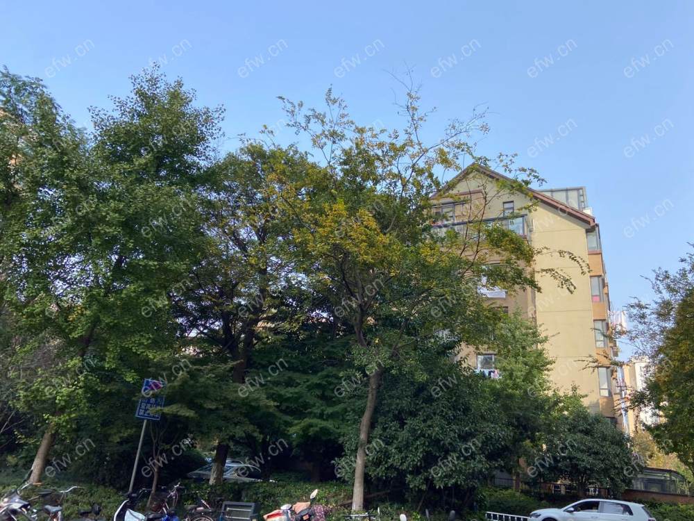 万科魅力之城二期 4室2厅