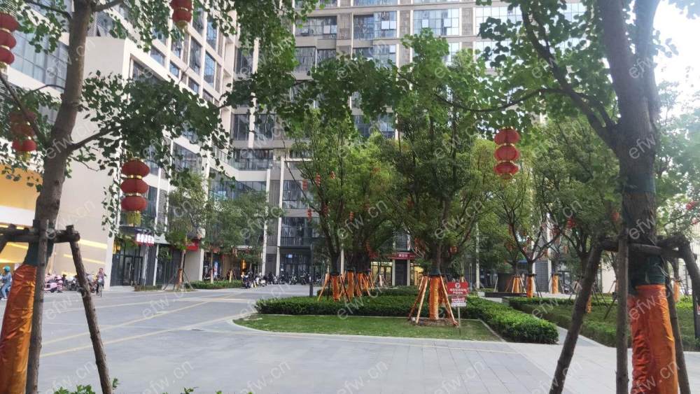 俊发soho俊园 2室1厅