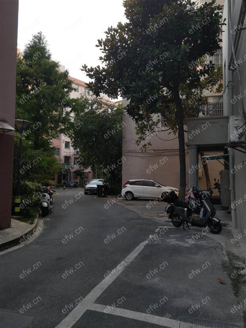 新江南花园 3室2厅