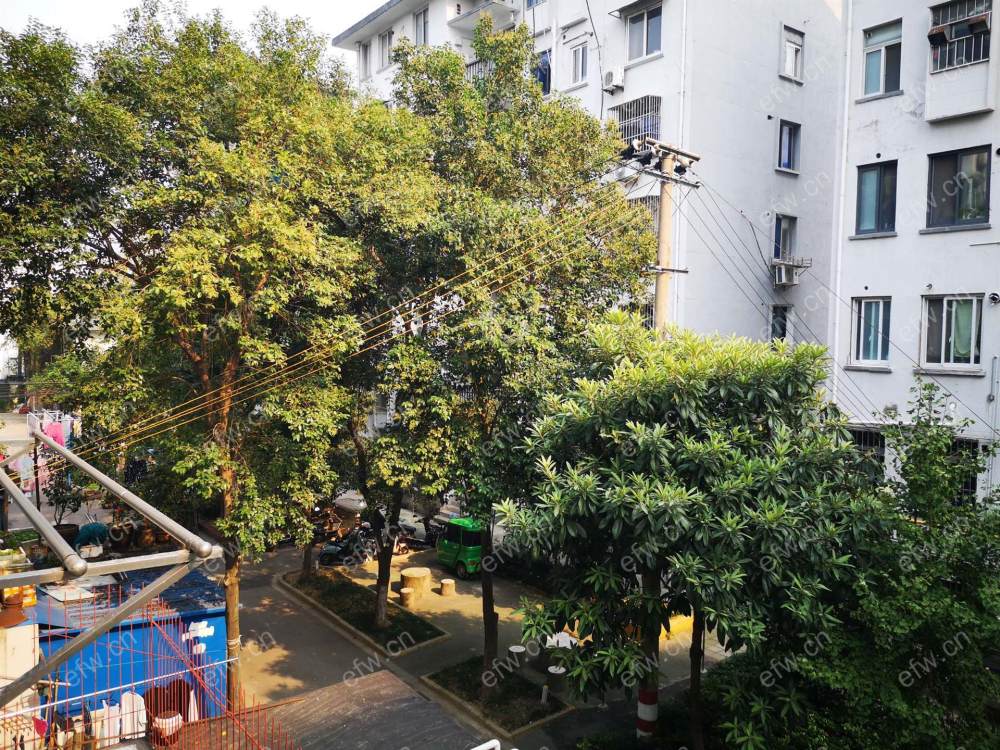 village room房 全明户型 另送家电