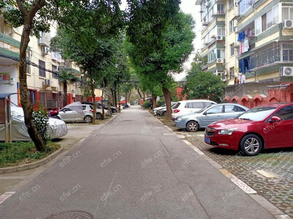芦庄五区 2室1厅精装两房拎包入住