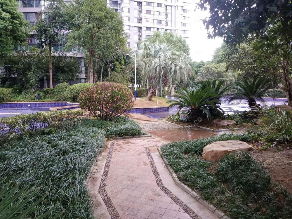 湖滨一号 3室2厅 精装修的