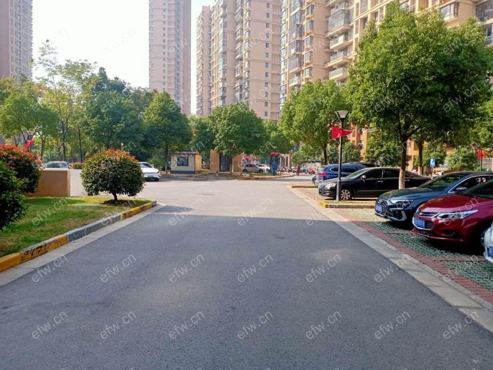 湖滨一号 3室2厅 精装修的