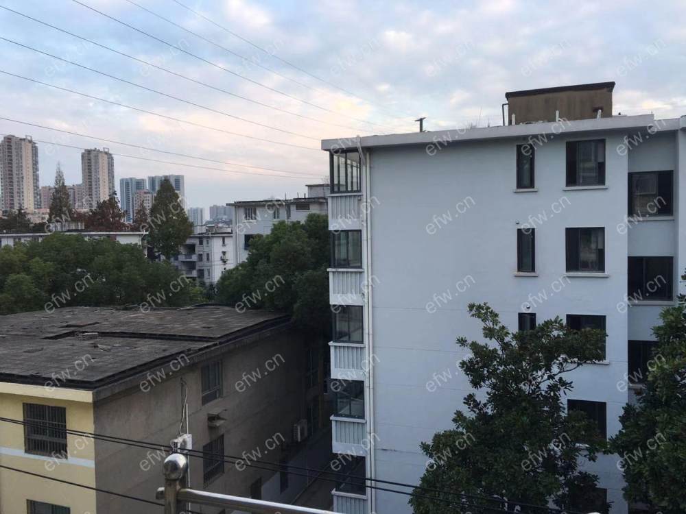孙蒋新村 1室1厅