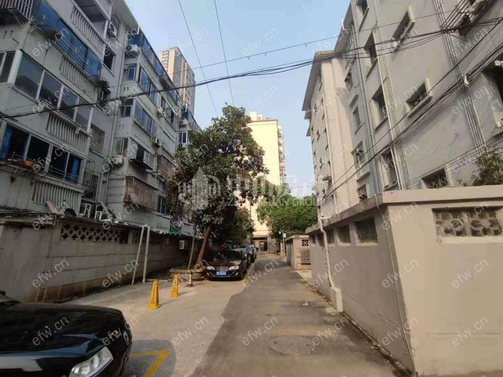 健康路 1室1厅