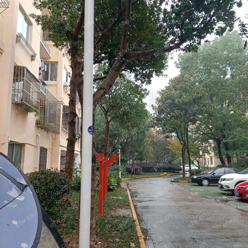 林陆苑 3室2厅，房东诚心出租