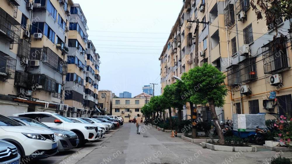 柏庄北路 3室1厅