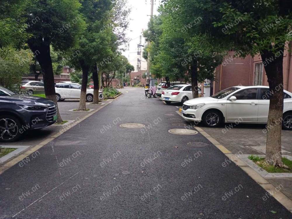 芦庄六区 1室1厅精装带投影仪