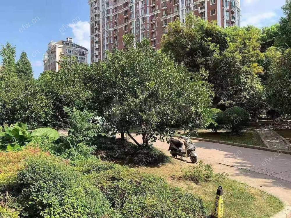 金马际花园 3室2厅 20楼