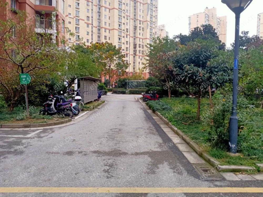湖滨一号 3室2厅 精装修的