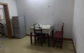 中星苑精装1室  随时看房 拎包入住
