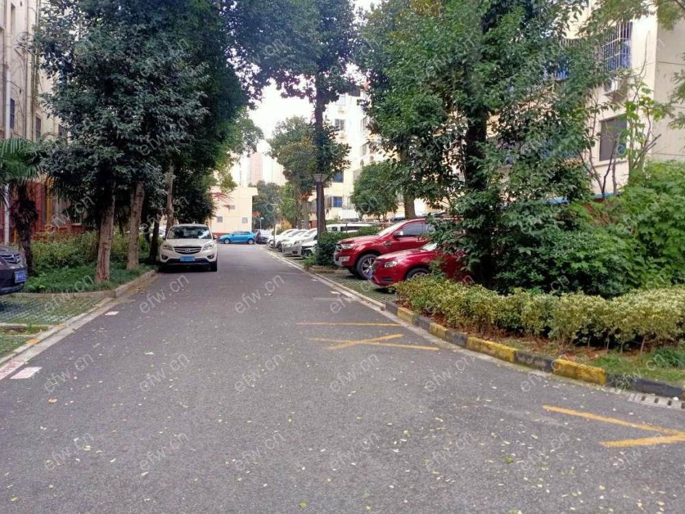 芦庄六区 1室1厅精装带投影仪