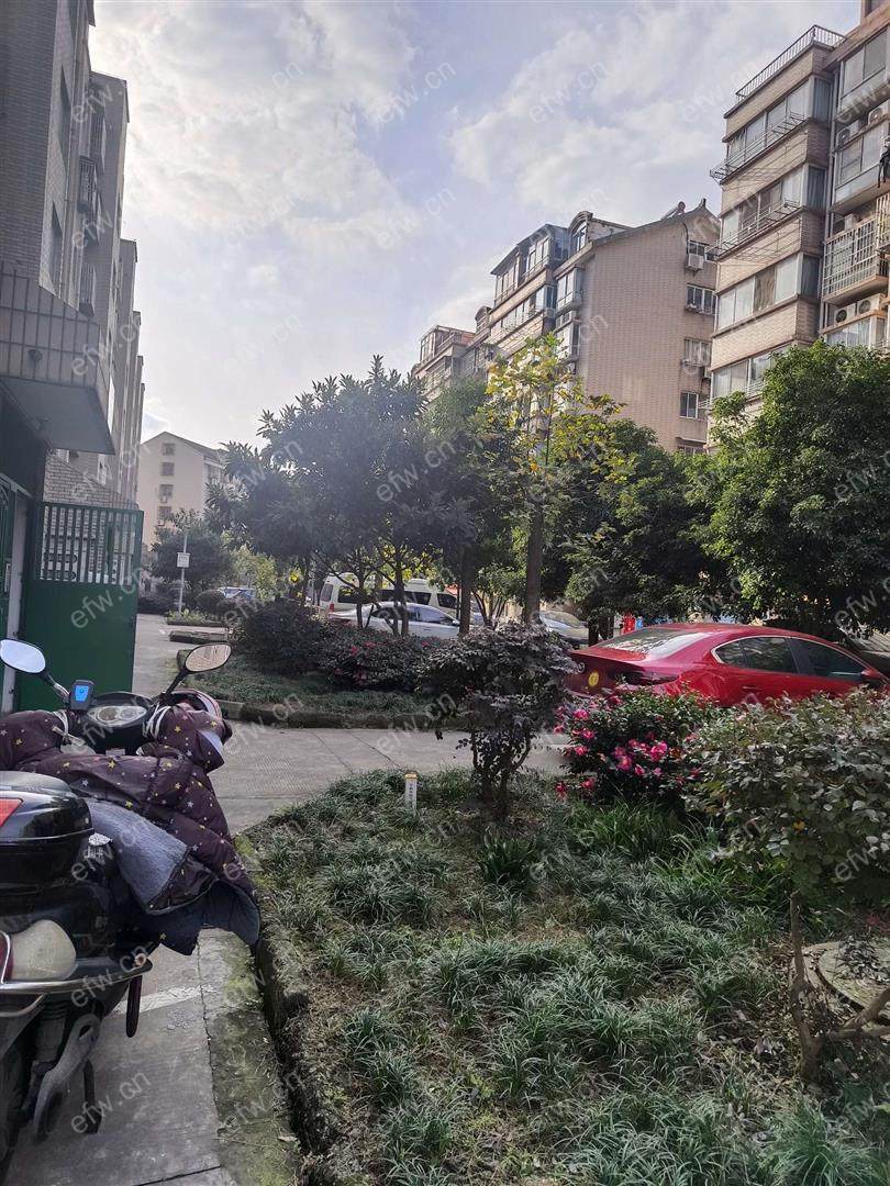 中星苑精装1室  随时看房 拎包入住