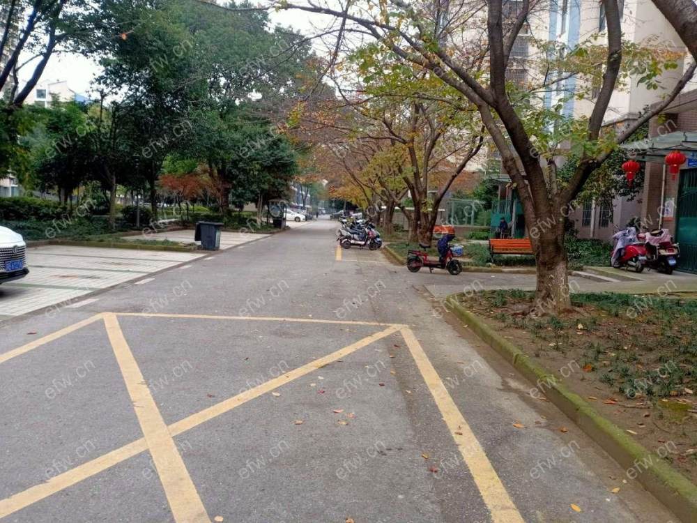 新纺家园(金星家园) 2室2厅