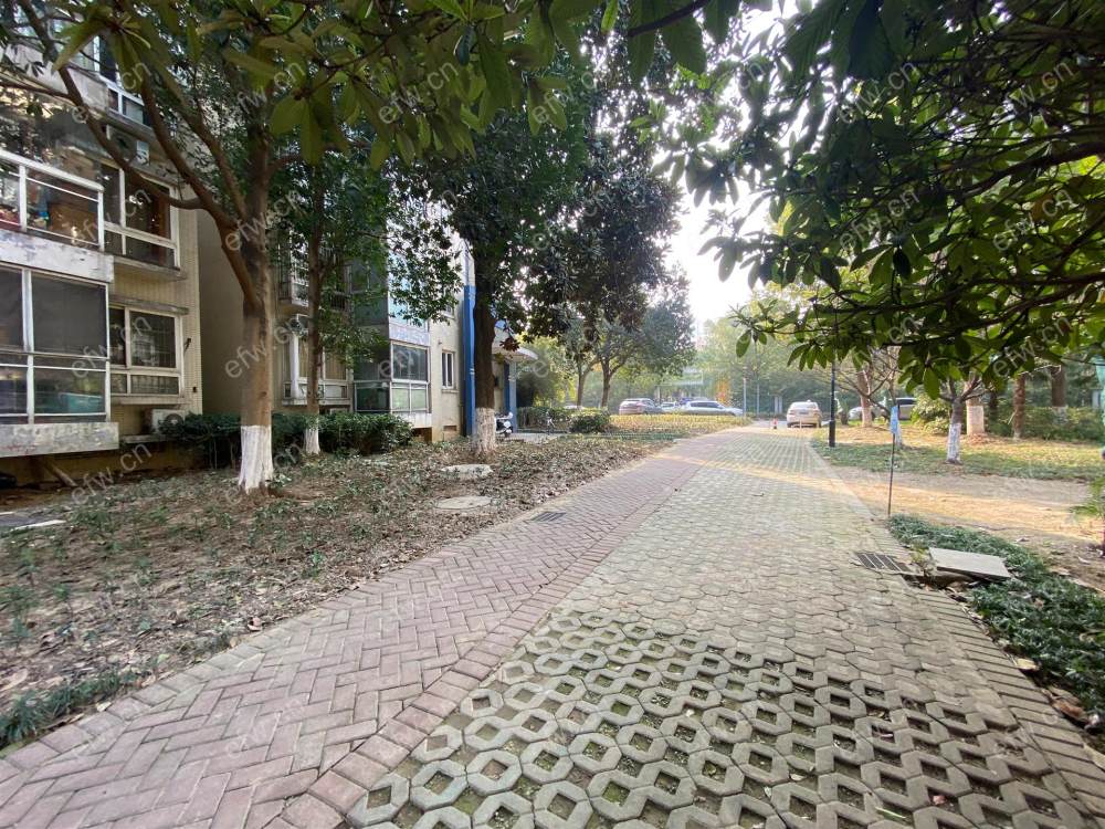 金色江南一期(天景花园) 4室2厅  房东说钥匙在对面龙创