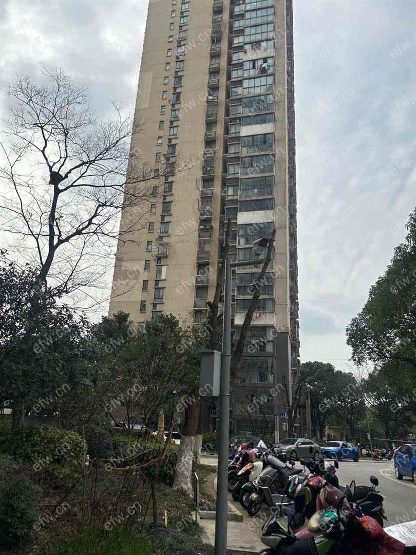 兴竹家园精装房出租...