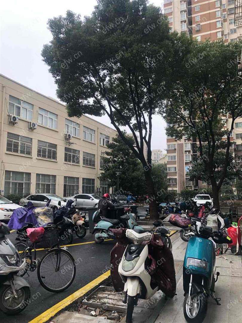 瑞星家园（西区40-168）精装2室  随时看房 拎包入住