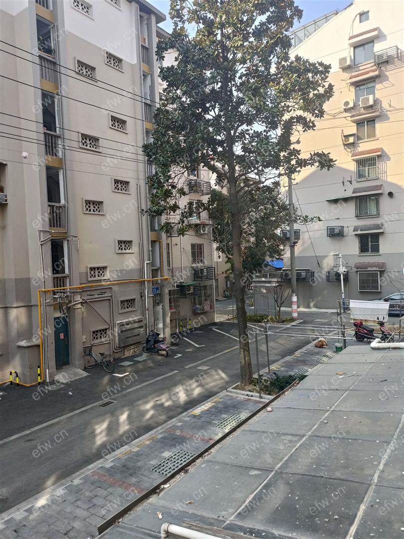五爱广场 精装两房出租