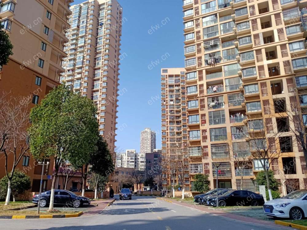 精装修 一室一厅