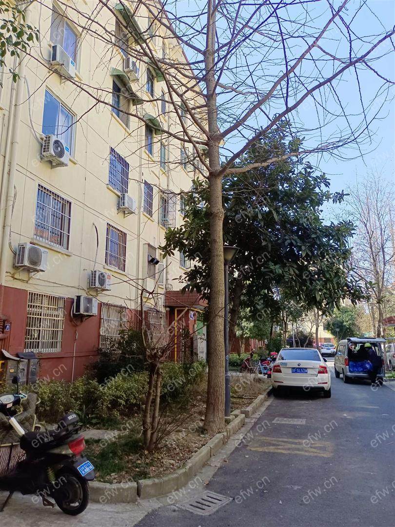 沁园新村 2室1厅