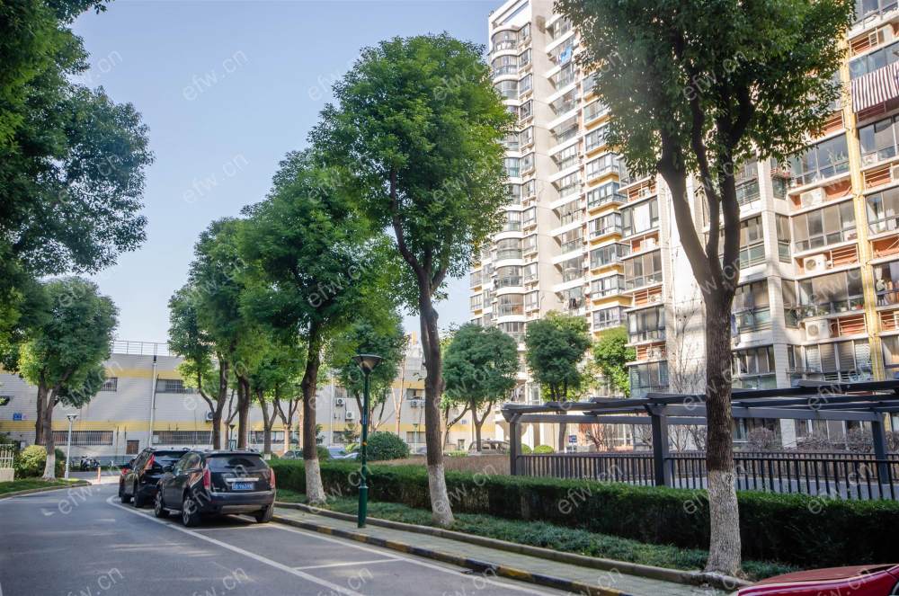 阳光城市花园C区 3室2厅