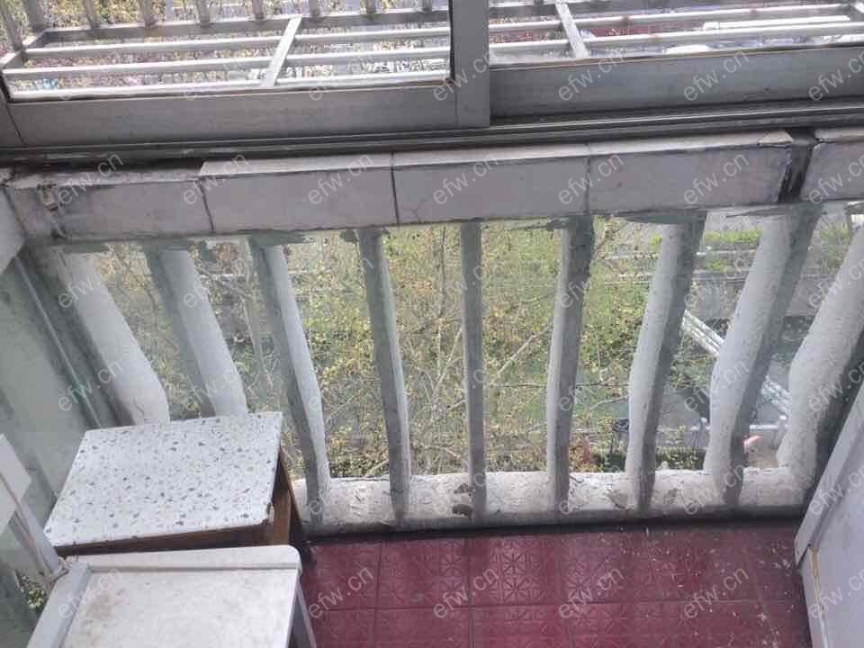 虹桥新村 1室1厅