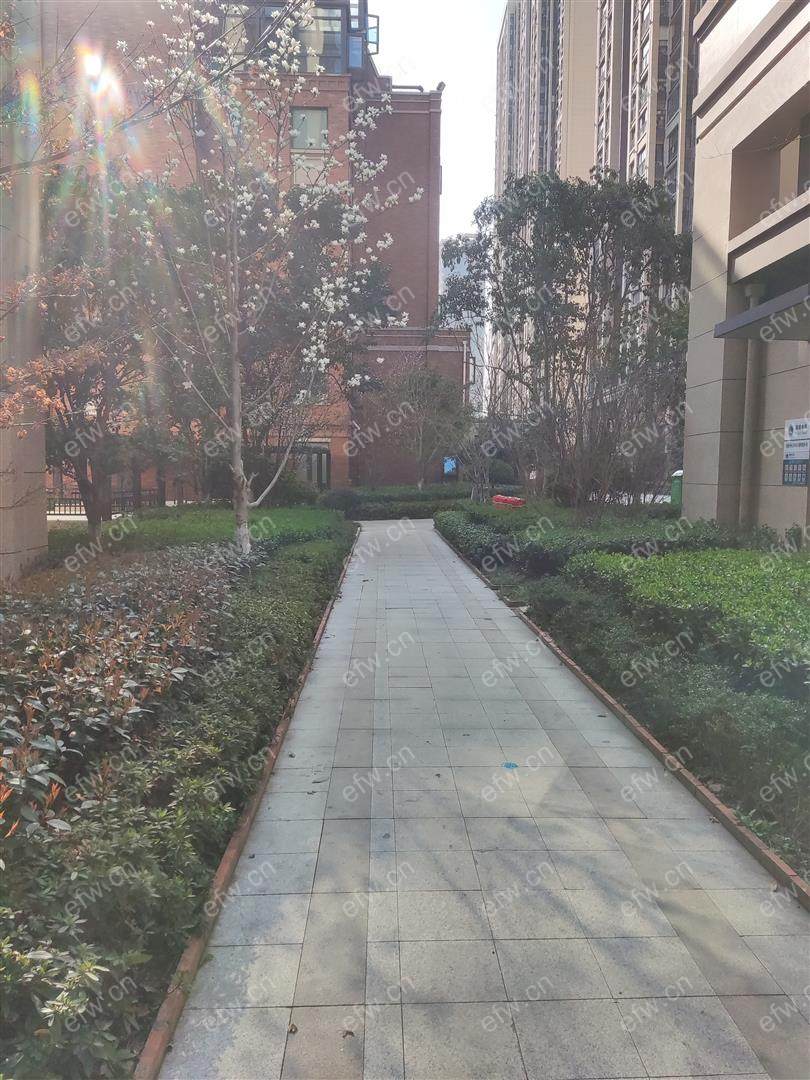 精装大三房，房东诚售