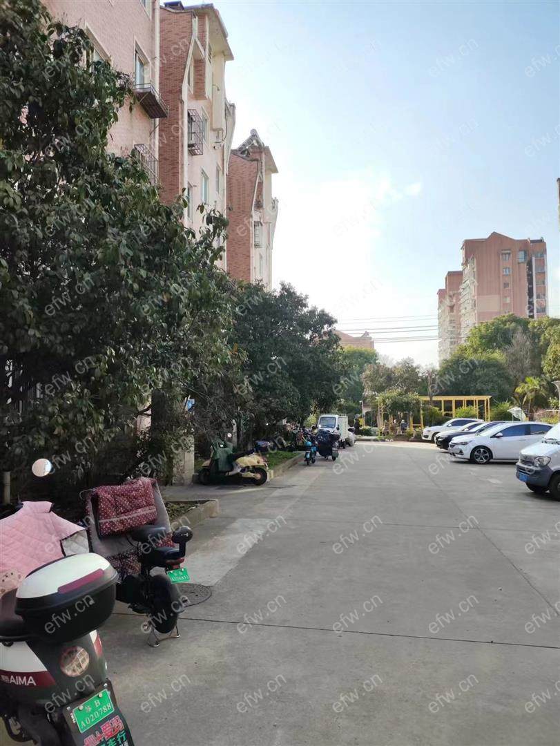 village位置好，环境优雅，area平米精装room房