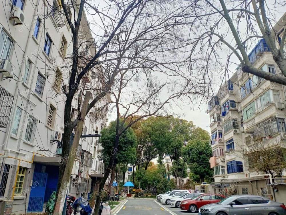 震泽三村