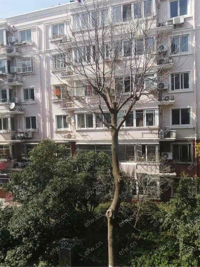 人民医院旁，豪装大三房 出租