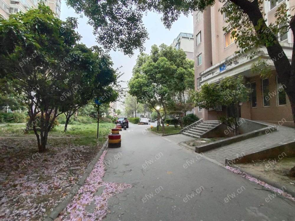 蔚蓝都市，精装修两房，看房有密码