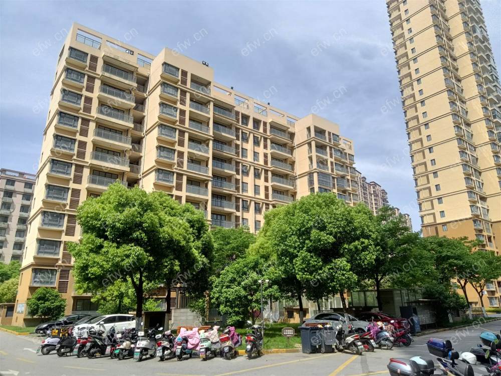 瑞星家园旁 毛坯房 采光好
