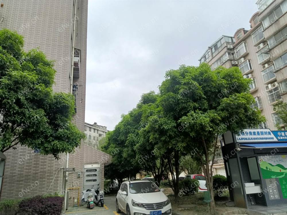 中星苑 年轻时尚,2居室,观景房,落地大飘窗,采光视野一流