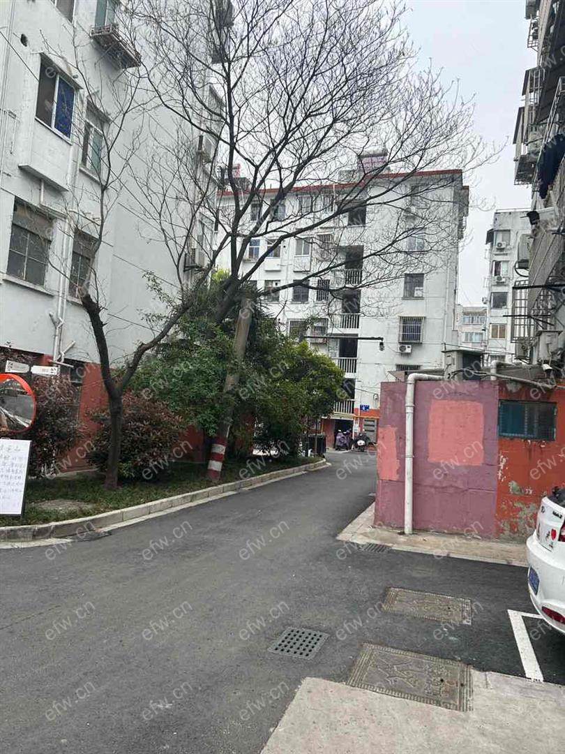 中南新村 1室1厅精装修