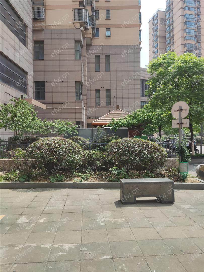 东风家园 1室2厅 商品房 置换诚心售