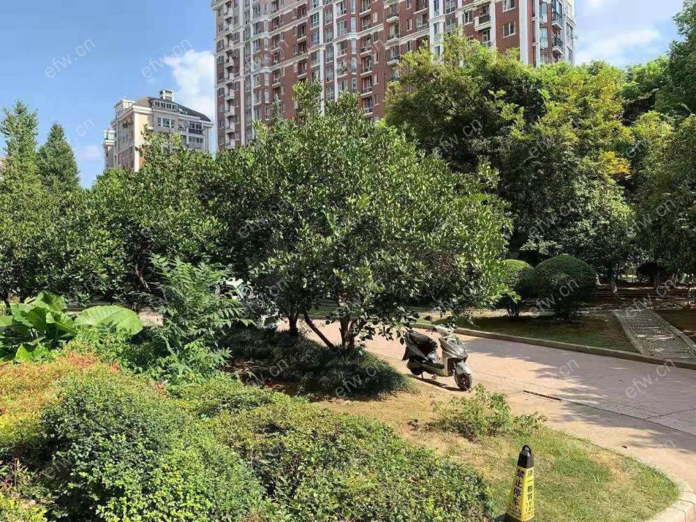 金马际花园 可用