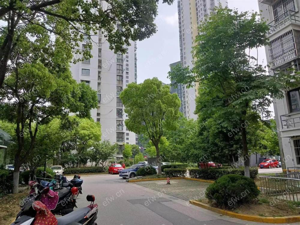 新纺家园(金星家园) 小区环境好看房方便