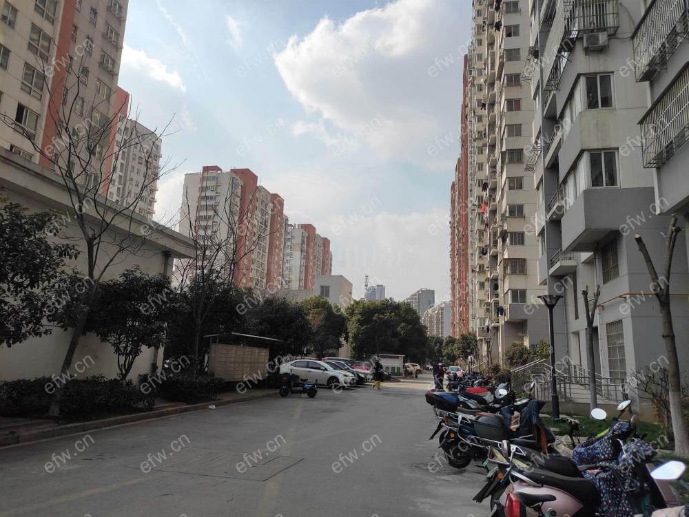 简装 不租二房东