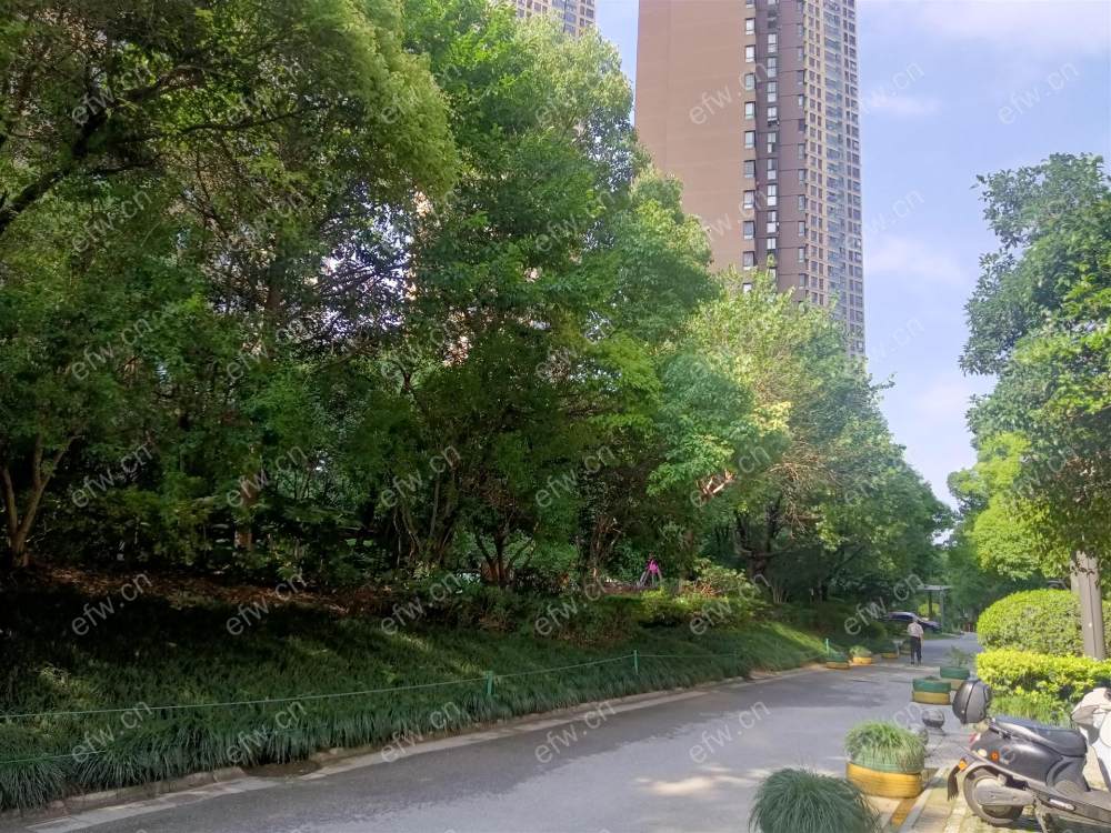 年华里（九龙仓时代上城C区） 4室2厅